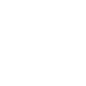 logo white